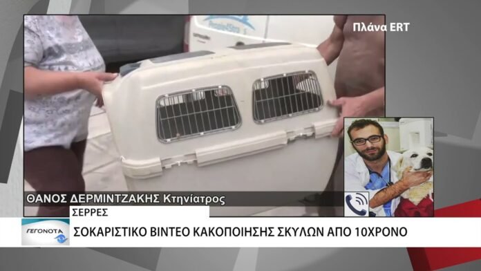 Σοκάρουν οι εικόνες από την κακοποίηση σκύλων από 10χρονο σε χωριό των Σερρών