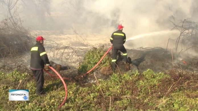 Ο καύσωνας ανεβάζει τον δείκτη της επικινδυνότητας για την εκδήλωση πυρκαγιάς στον Έβρο