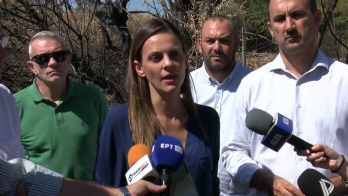 Έφη Αχτσιόγλου από τον Έβρο: «Πρωτοφανείς και ξεκάθαρες οι ευθύνες της κυβέρνησης»