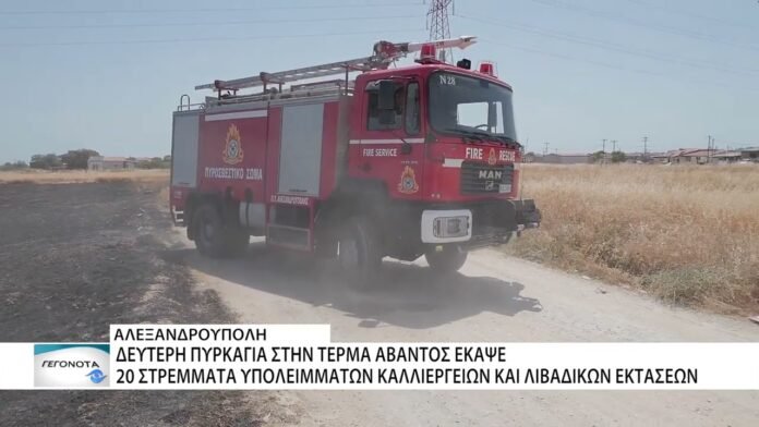 Δύο εστίες φωτιάς σε Χιλή και Άβαντα Αλεξανδρούπολης ξέσπασαν το μεσημέρι της Τετάρτης