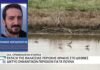 Θαλάσσια Περιοχή Θράκης: Ένταξη στο διεθνές δίκτυο Σημαντικών Περιοχών για τα Πουλιά